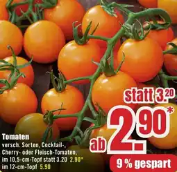B1 Discount Baumarkt Tomaten Angebot