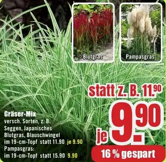 B1 Discount Baumarkt Gräser-Mix Angebot