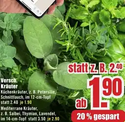 B1 Discount Baumarkt Versch. Kräuter Angebot