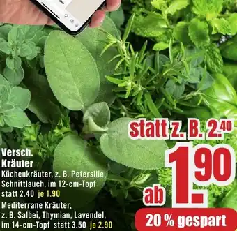 B1 Discount Baumarkt Versch. Kräuter Angebot