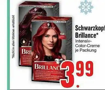 Edeka Schwarzkopf Brillance Angebot