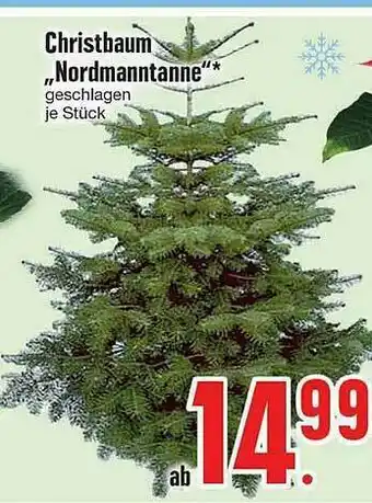 Edeka Christbaum „nordmanntanne“ Angebot