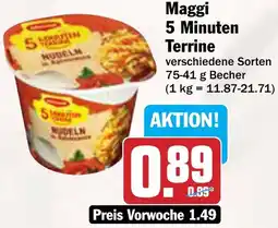 AEZ Maggi 5 Minuten Terrine Angebot