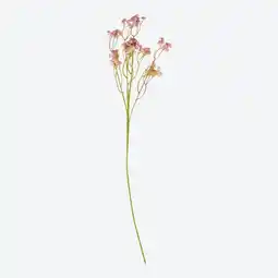 NKD Schleierkraut-Kunstblume, ca. 64cm Angebot