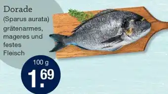 V Markt Dorade Angebot