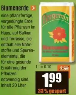 V Baumarkt Blumenerde Angebot