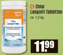 V Baumarkt Chlor Langzeit-Tabletten Angebot