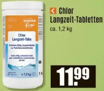 V Baumarkt Chlor Langzeit-Tabletten Angebot