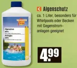 V Baumarkt Algenschutz Angebot