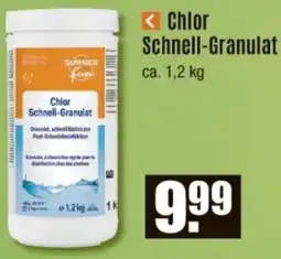 V Baumarkt Chlor Schnell-Granulat Angebot