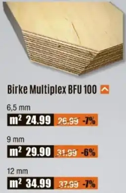 V Baumarkt Birke Multiplex BFU 100 Angebot