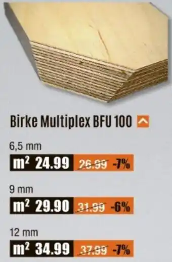 V Baumarkt Birke Multiplex BFU 100 Angebot