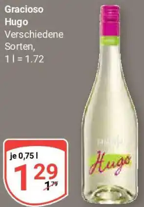 Globus Gracioso Hugo Angebot