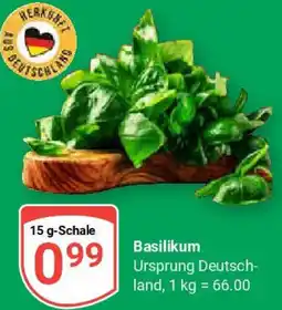Globus Basilikum Angebot