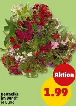 PENNY Bartnelke im Bund Angebot