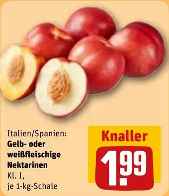REWE Gelb- oder weißfleischige Nektarinen Angebot