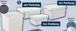 PENNY plast team Regal-Aufbewah- rungskörbe-SEOUL Angebot