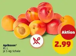 PENNY Aprikosen Angebot