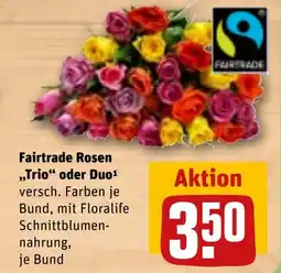 REWE Fairtrade Rosen ,,Trio“ oder Duo Angebot
