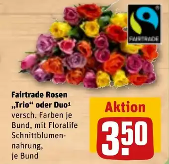 REWE Fairtrade Rosen ,,Trio“ oder Duo Angebot