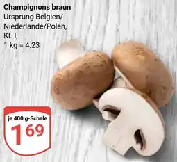 Globus Champignons braun Angebot