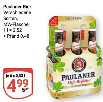 Globus Paulaner Bier Angebot