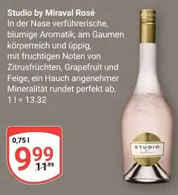 Globus Studio by Miraval Rosé Angebot