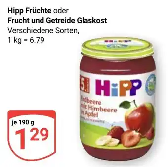 Globus Hipp Früchte oder Frucht und Getreide Glaskost Angebot