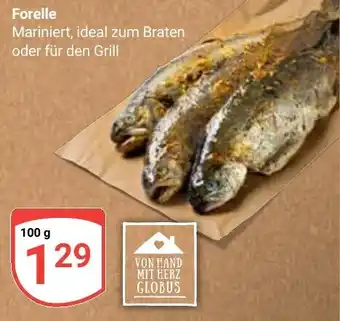 Globus Forelle Angebot