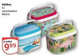 Globus Kühlbox Angebot
