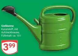 Globus Gießkanne Angebot