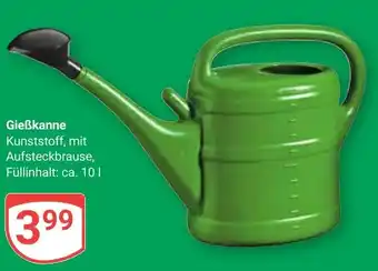 Globus Gießkanne Angebot