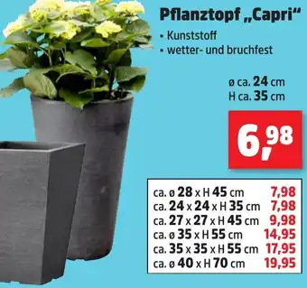 Thomas Philipps Pflanztopf ,,Capri" Angebot