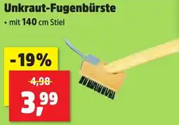 Thomas Philipps Unkraut-Fugenbürste Angebot