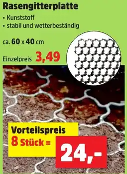 Thomas Philipps Rasengitterplatte Angebot