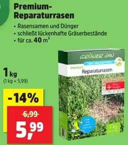 Thomas Philipps GRÜNER JAN Premium Reparaturrasen Angebot