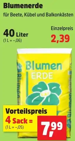 Thomas Philipps Blumenerde Angebot