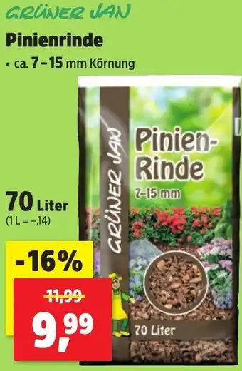 Thomas Philipps GRÜNER JAN Pinienrinde Angebot