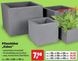 Thomas Philipps Pflanzkübel ,,Kubus" Angebot