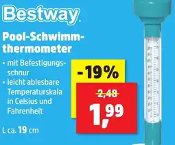 Thomas Philipps Bestway Pool-Schwimmthermometer Angebot