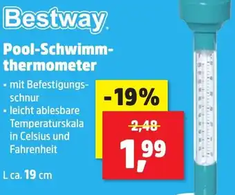 Thomas Philipps Bestway Pool-Schwimmthermometer Angebot