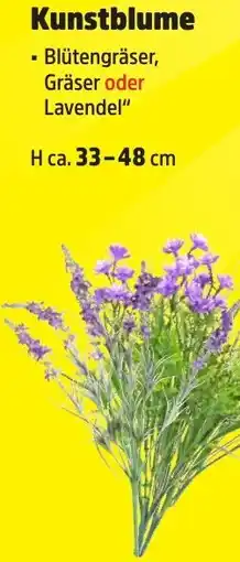 Thomas Philipps Kunstblume Angebot