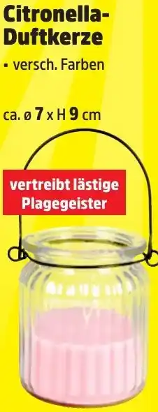 Thomas Philipps Citronella Duftkerze Angebot