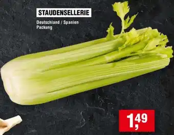 Handelshof Staudensellerie Angebot