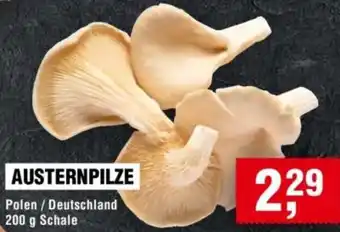 Handelshof Austernpilze Angebot