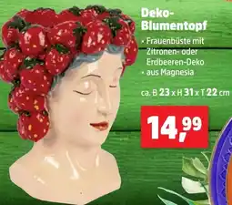 Thomas Philipps Deko Blumentopf Angebot