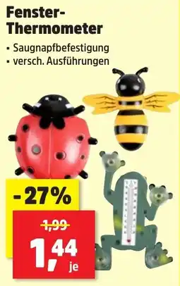 Thomas Philipps Fenster Thermometer Angebot