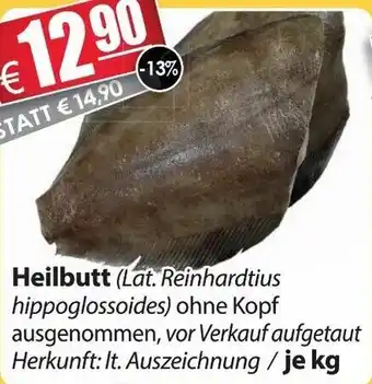 LEDO Heilbutt Angebot