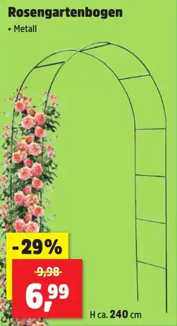 Thomas Philipps Rosengartenbogen Angebot