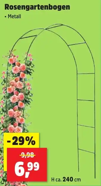 Thomas Philipps Rosengartenbogen Angebot